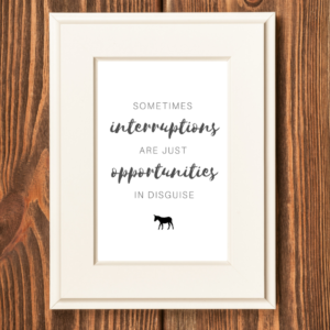 Interruptions are opportunities print