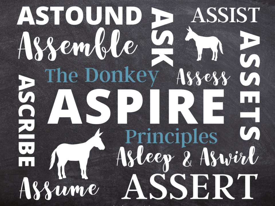 The Donkey Principles