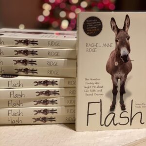 Flash the donkey book