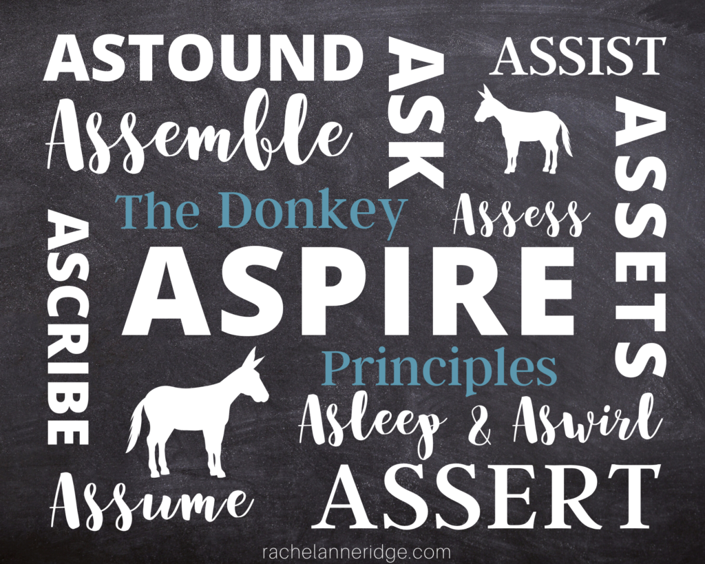 The Donkey Principles