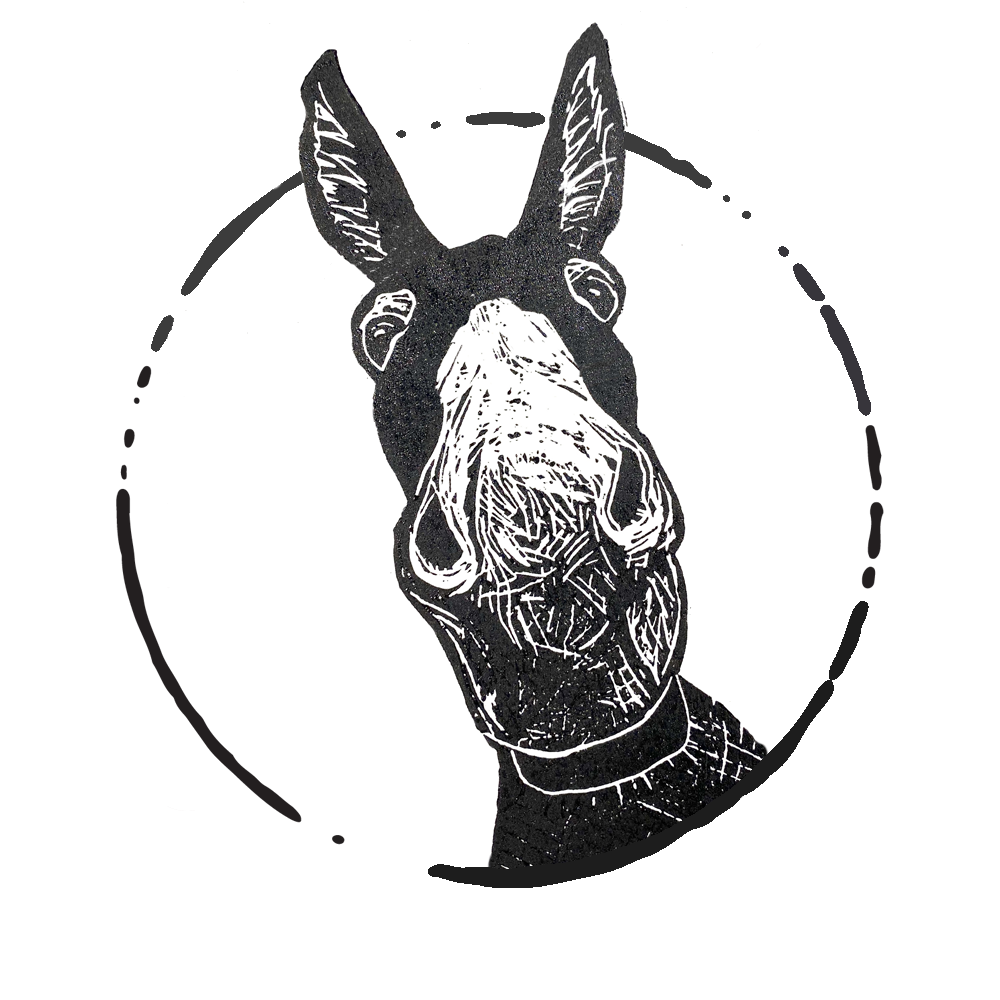 Flash the Donkey logo