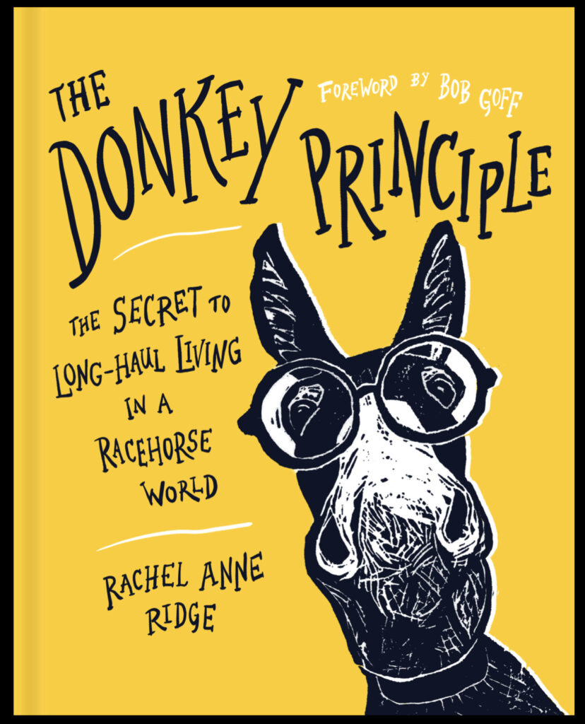 The Donkey Principle book